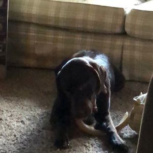 Meet your Posher, Patrick